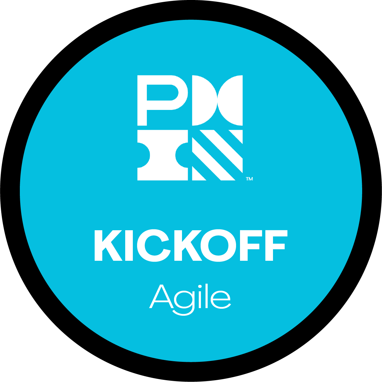 Project kickoff micro course from PMI - Agile or Waterfall 